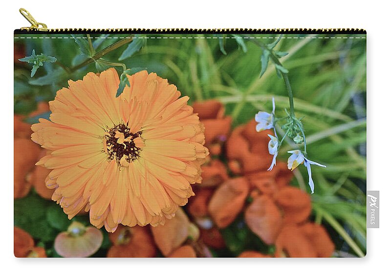 Pot Marigold Zip Pouch featuring the photograph 2020 Pot Marigold and Pocketbook Flower by Janis Senungetuk