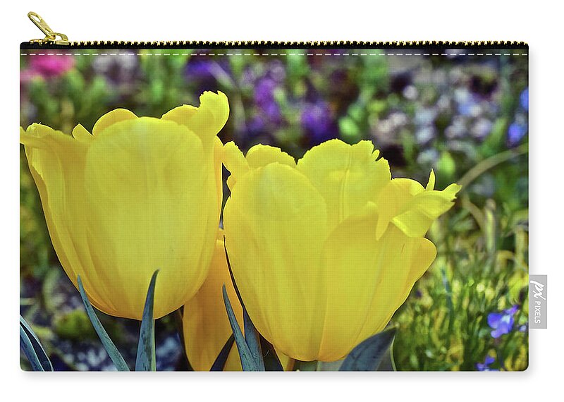 Tulips Zip Pouch featuring the photograph 2020 Yellow Spring Tulips by Janis Senungetuk