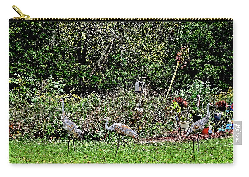 Sandhill Cranes; Backyard; Birds; Zip Pouch featuring the photograph 2021 Fall Sandhill Cranes 4 by Janis Senungetuk