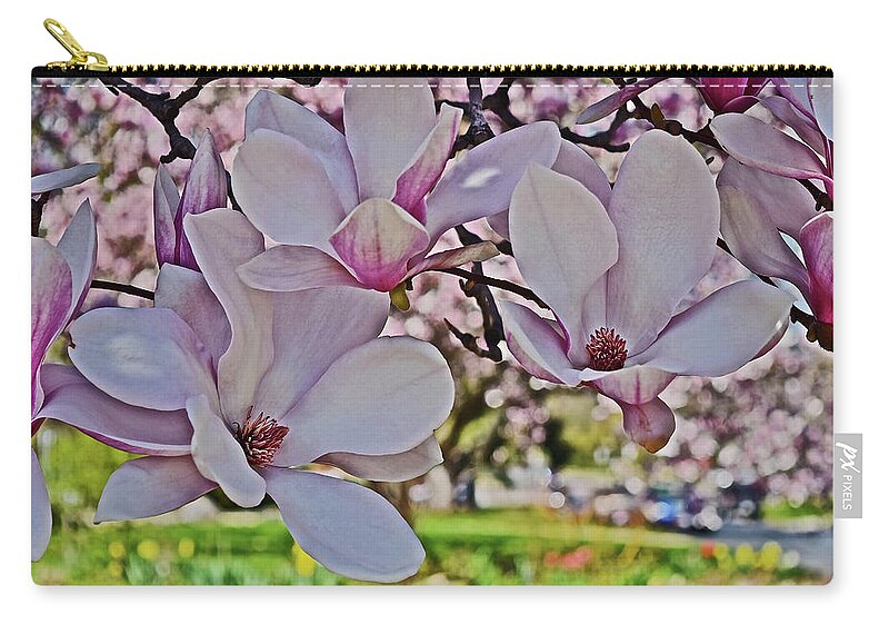 Magnolia Zip Pouch featuring the photograph 2022 Vernon Magnolia 1 by Janis Senungetuk