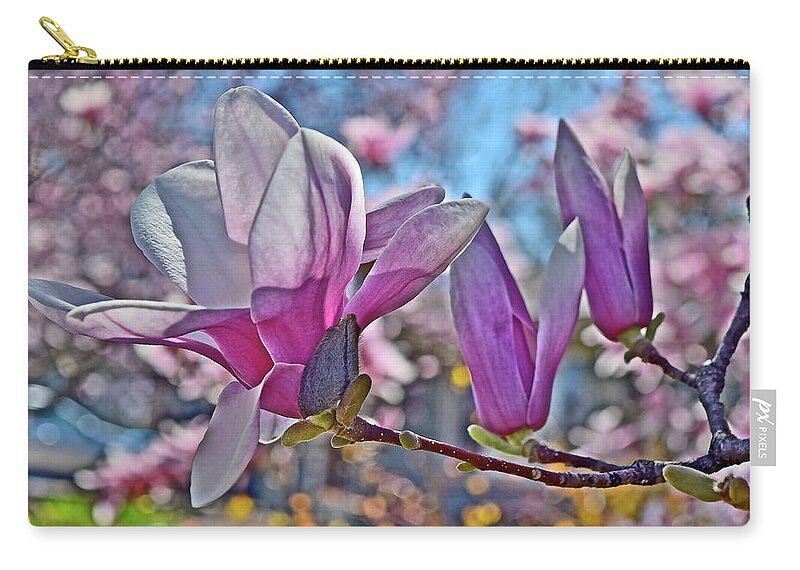 Magnolia Carry-all Pouch featuring the photograph 2022 Vernon Magnolia Neighbor 2 by Janis Senungetuk