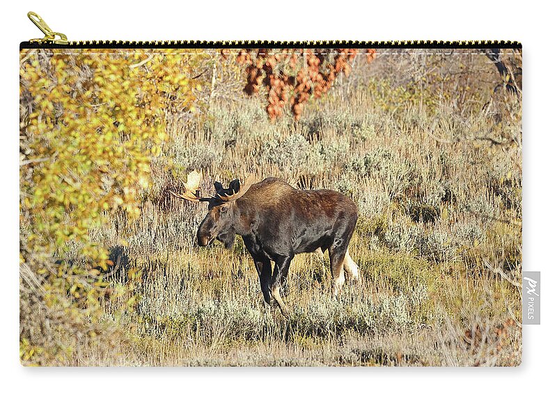 Moose Zip Pouch featuring the photograph 2023 October Moose by Jean Clark