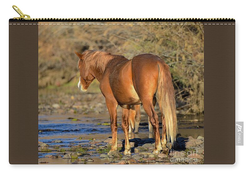 Salt River Wild Horse Zip Pouch featuring the digital art Salt River Wild Horse #26 by Tammy Keyes