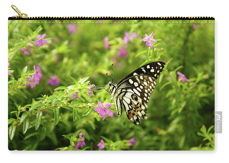 Lepidoptera Zip Pouch featuring the photograph Butterfly sucking nectar from flower #3 by SAURAVphoto Online Store