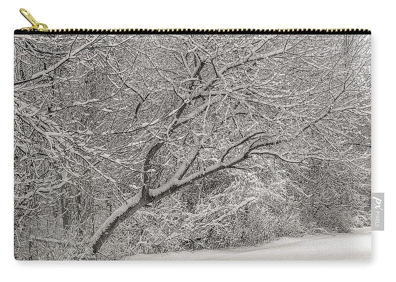 Winter Zip Pouch featuring the photograph Trees in Winter's Snow #3 by Alan Goldberg