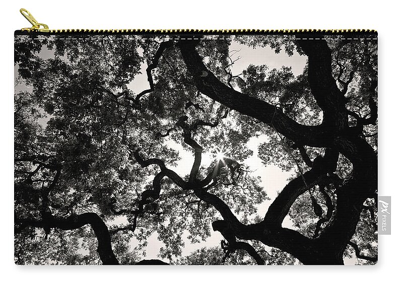 Oak Zip Pouch featuring the photograph 300 Year Old Maze by Ryan Huebel