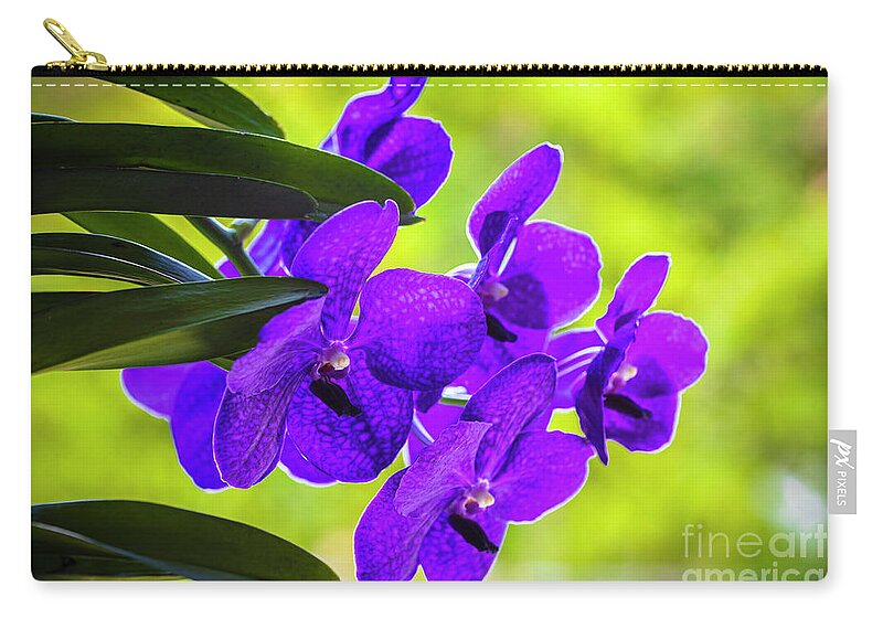 Background Zip Pouch featuring the photograph Purple Orchid Flowers #33 by Raul Rodriguez