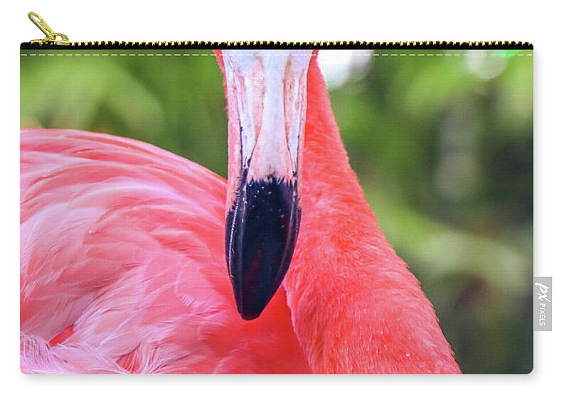 Costa Maya Mexico Zip Pouch featuring the photograph Costa Maya Mexico #35 by Paul James Bannerman