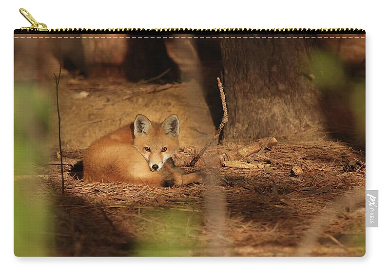 Fox Zip Pouch featuring the photograph Fox Kit #39 by Brook Burling
