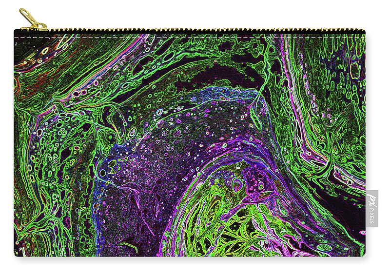 Acrylic Abstract Zip Pouch featuring the painting Wisdom Seeker FH1 by Diane Goble
