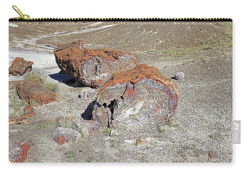 Petrified Forest National Park Carry-all Pouch featuring the photograph Petrified Logs - Petrified Forest National Park by Richard Krebs