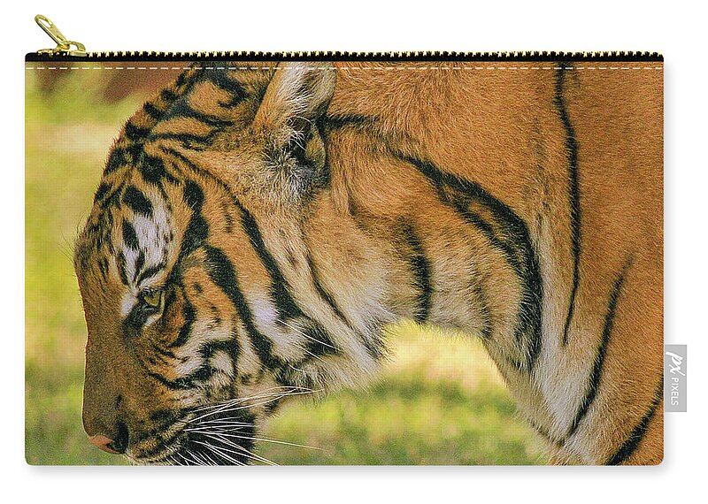 Bengal Tiger Zip Pouch featuring the photograph Royal Bengal Tiger #7 by Winston D Munnings