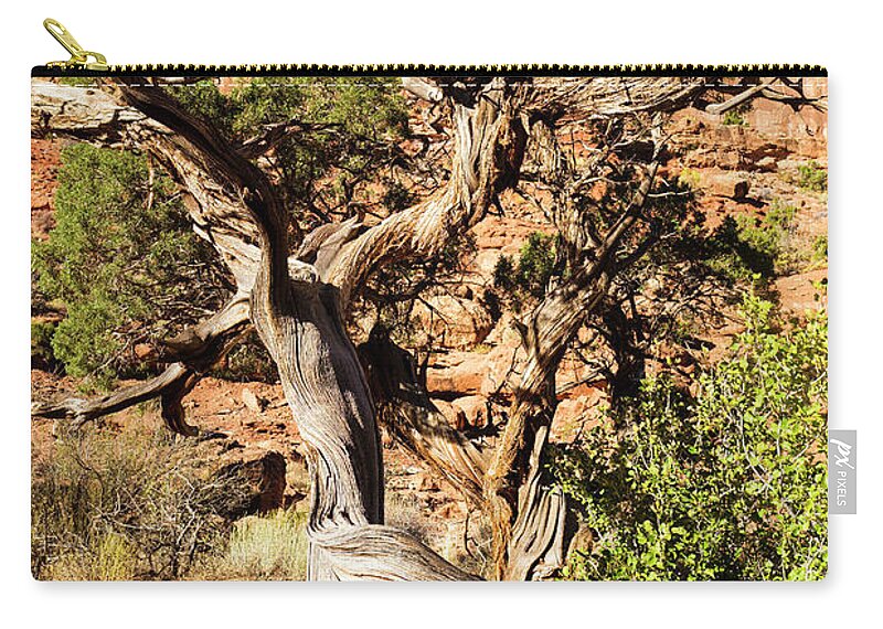Arches National Park Zip Pouch featuring the photograph Arches National Park #47 by Raul Rodriguez