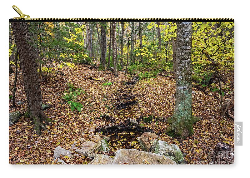 2018 Carry-all Pouch featuring the photograph Appalachian Autumn by Stef Ko