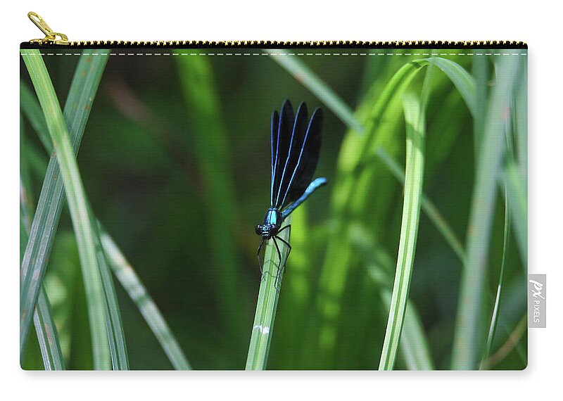 Dragonfly Zip Pouch featuring the photograph Ebony Jewelwing Damselfly #5 by Brook Burling