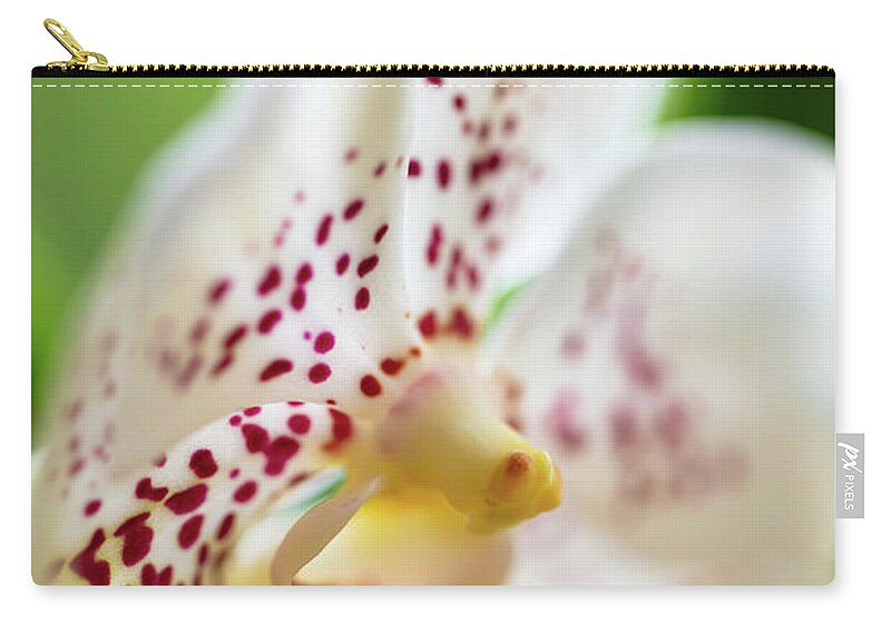 Background Zip Pouch featuring the photograph Spotted Orchid Flower #5 by Raul Rodriguez