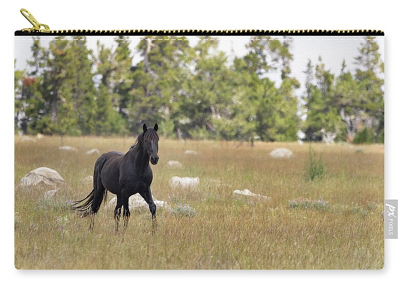 Horse Zip Pouch featuring the photograph Stallion #5 by Laura Terriere