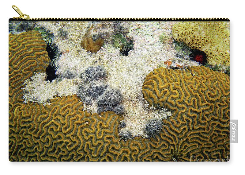 La Paguera Zip Pouch featuring the photograph Untitled #5 by David Little-Smith