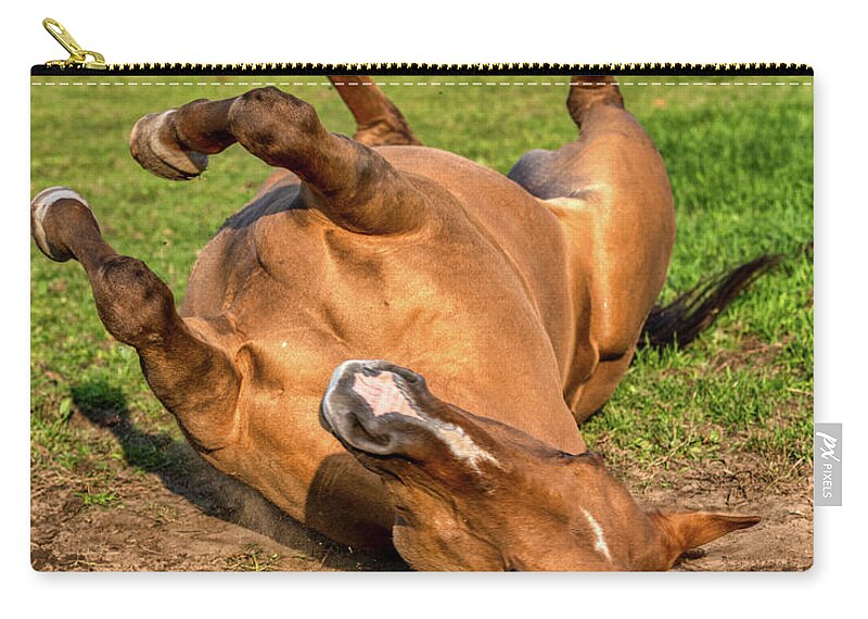 Airey Zip Pouch featuring the photograph Autumn Horses of Uxbridge by Dee Potter