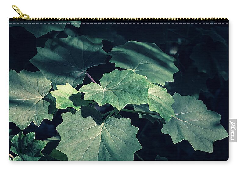 Decoration Zip Pouch featuring the photograph Green plants in natural conditions #6 by Benoit Bruchez