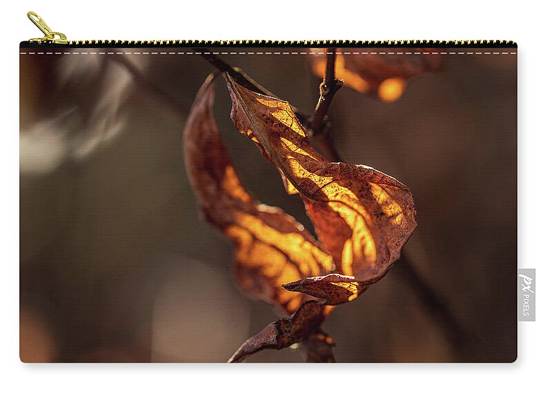 Landscape Zip Pouch featuring the photograph Nature Photography - Fall Leaves #6 by Amelia Pearn