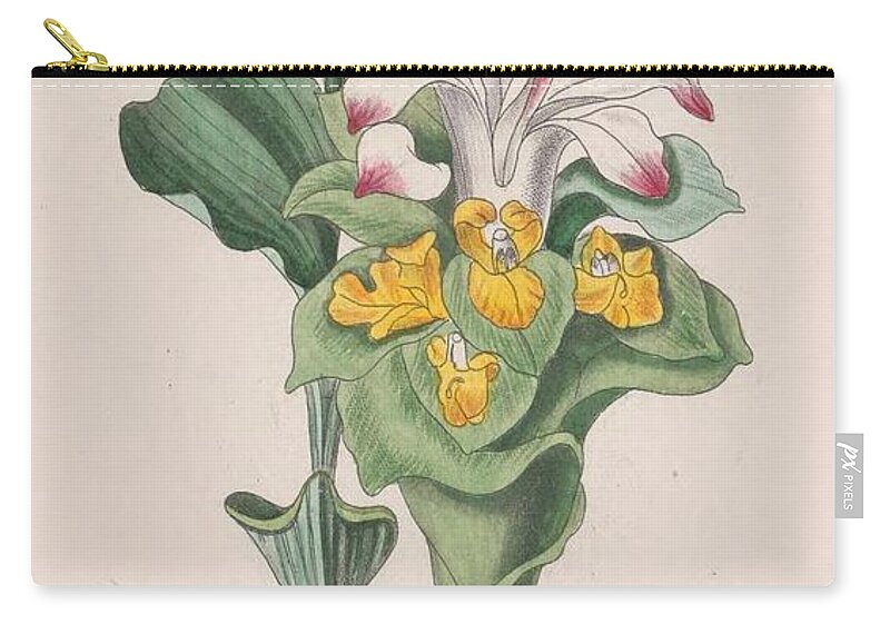Flower Zip Pouch featuring the mixed media Beautiful Vintage Flower #629 by World Art Collective