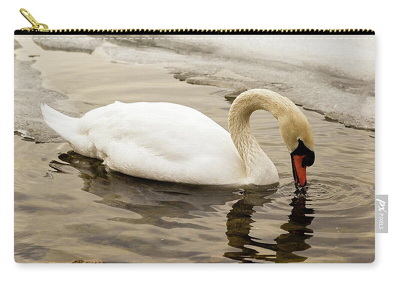 Cygnus Zip Pouch featuring the photograph Mute swan #7 by SAURAVphoto Online Store
