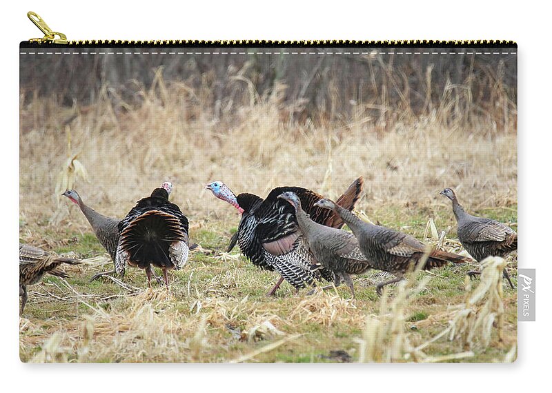 Wild Turkeys Zip Pouch featuring the photograph Wild Turkey #8 by Brook Burling