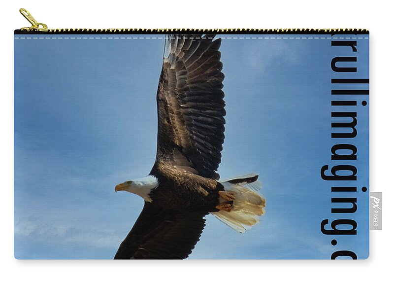 Eagles Zip Pouch featuring the photograph Bald Eagles in Eleven Mile Canyon #9 by Steven Krull