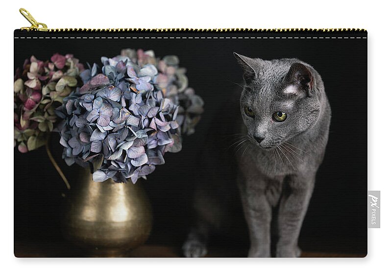 Russian Blue Cat Zip Pouch featuring the photograph Russian Blue Cat #9 by Nailia Schwarz
