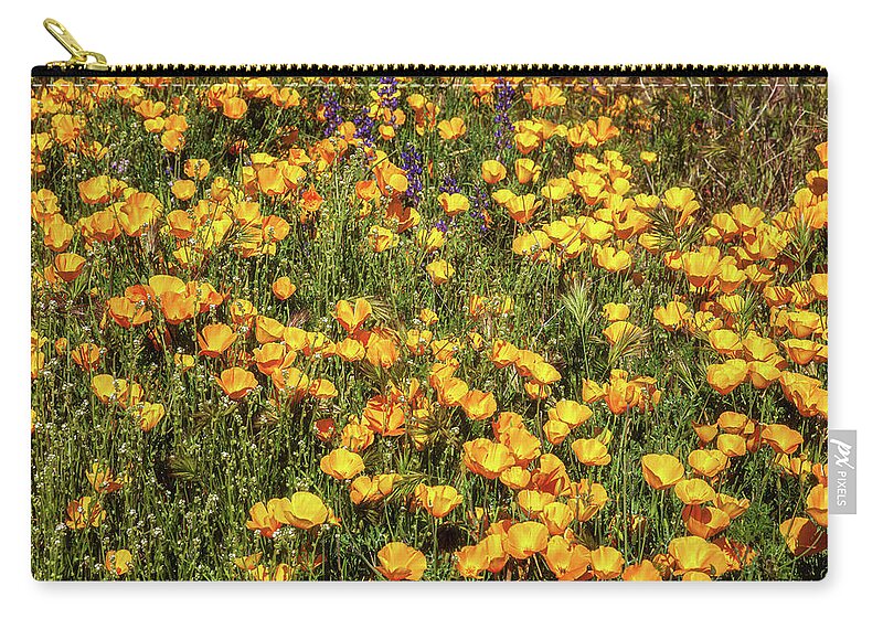 Arizona Zip Pouch featuring the photograph A Bed of Gold by Rick Furmanek