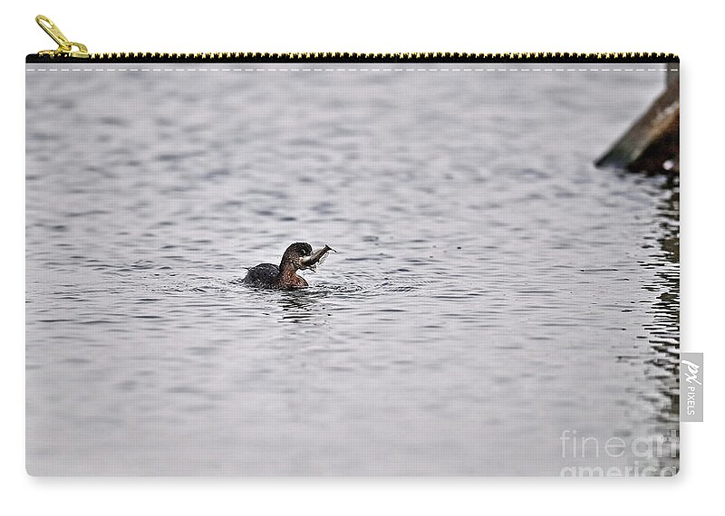 Pied-billed-grebe Zip Pouch featuring the photograph A bit too big catch for this Pied-billed Grebe by Amazing Action Photo Video
