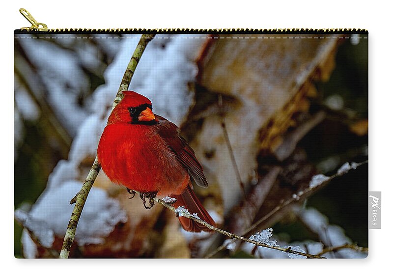 A Cardinal In Winter Prints Zip Pouch featuring the photograph A Cardinal In Winter by John Harding