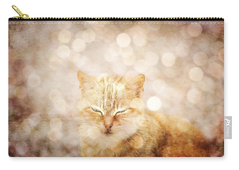 Cat Carry-all Pouch featuring the photograph A cat dream by Yasmina Baggili