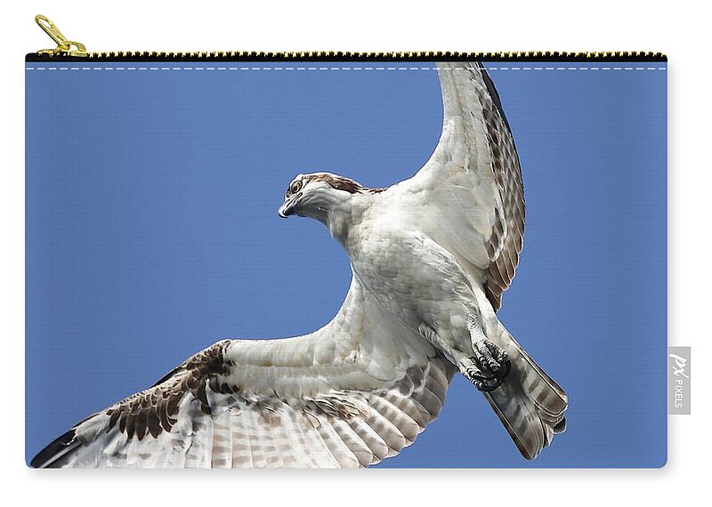 Osprey Carry-all Pouch featuring the photograph A Close-Up of Osprey by Mingming Jiang