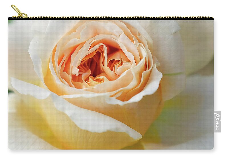 Floral Zip Pouch featuring the photograph A Delicate Rose in Peach by Betty Denise