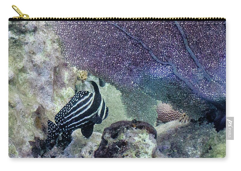 Animals Zip Pouch featuring the photograph A Different Drum by Lynne Browne