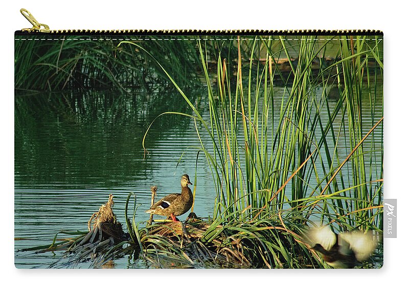 Ducks Zip Pouch featuring the photograph A Ducks Life by Angelo DeVal