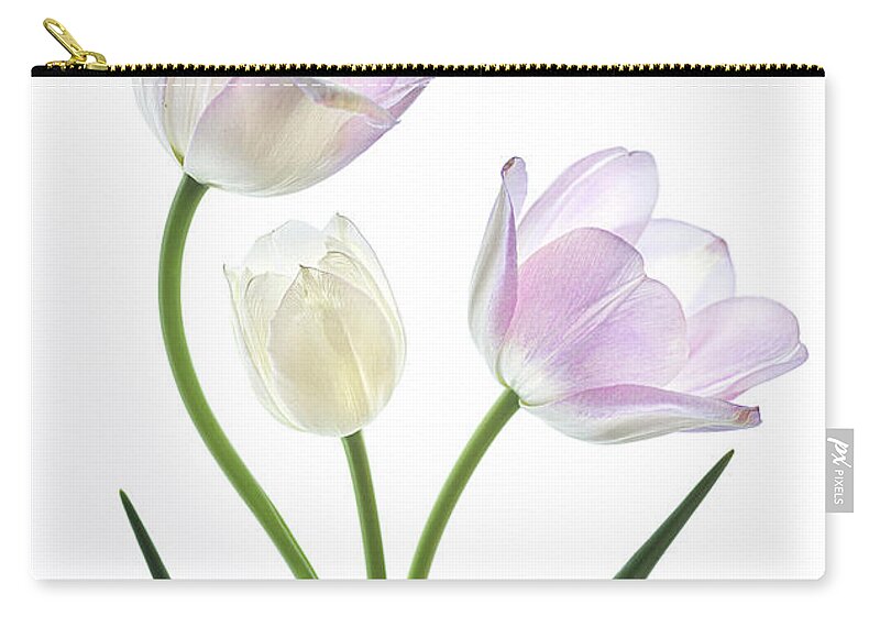 Beautiful Zip Pouch featuring the photograph A Family Affair by Teresa Wilson