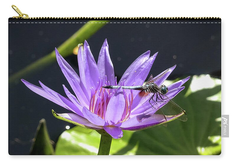 Dragonfly Zip Pouch featuring the photograph A Friendly Dragon by Margaret Pitcher
