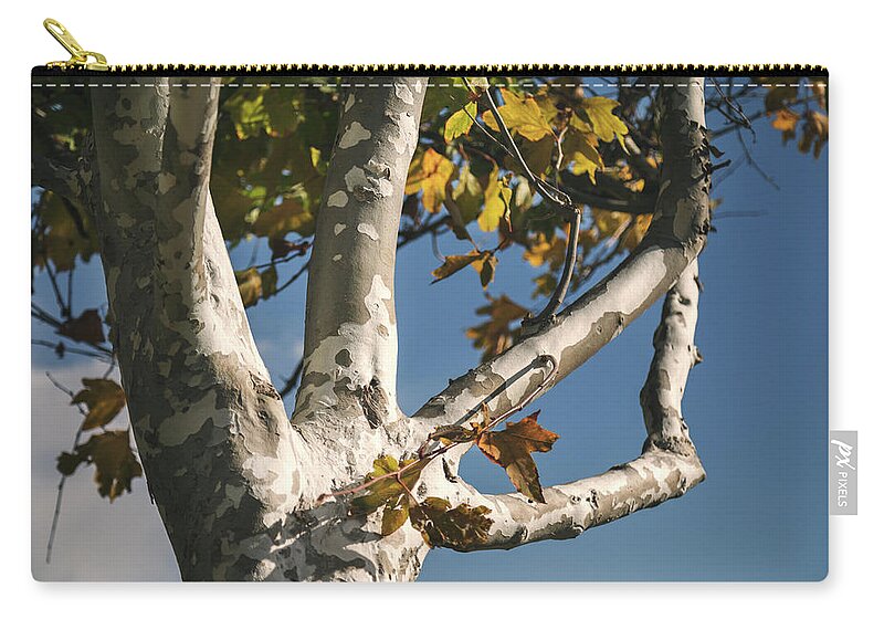 Trees Zip Pouch featuring the photograph A Gentle Fall Breeze by Laurie Search