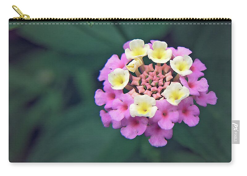 Flower Carry-all Pouch featuring the photograph A lot going on by Stacy Abbott