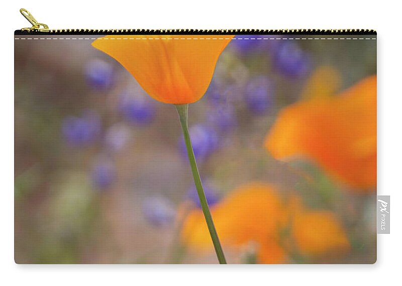 Blooming Zip Pouch featuring the photograph A Perfect Poppy by Teresa Wilson