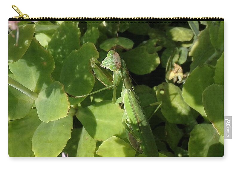 Mantis Carry-all Pouch featuring the photograph A Predator Lurks by Christopher Reed
