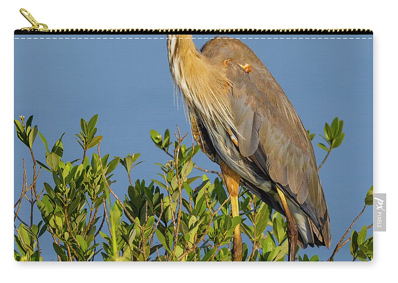 R5-2653 Carry-all Pouch featuring the photograph A Proud Heron by Gordon Elwell