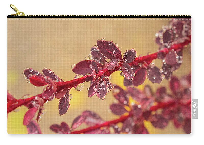 Hudson Valley Zip Pouch featuring the photograph A Red Plant with Jewel like Raindrops by Auden Johnson