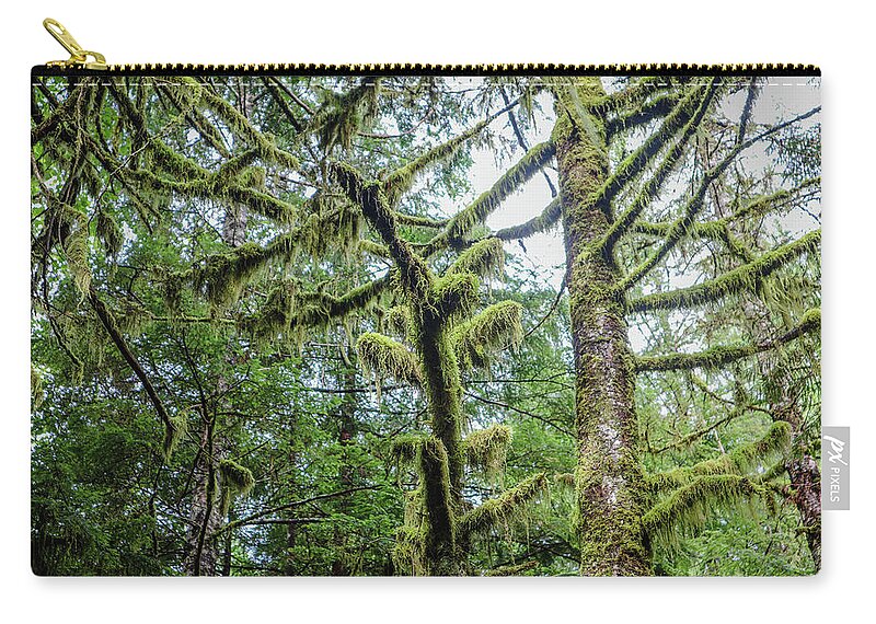 Alaska Zip Pouch featuring the photograph A Saxman Hardwood Forest by Ed Williams