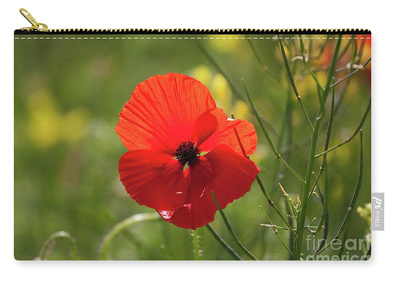 Uk Zip Pouch featuring the photograph A Single Poppy, Yorkshire by Tom Holmes Photography