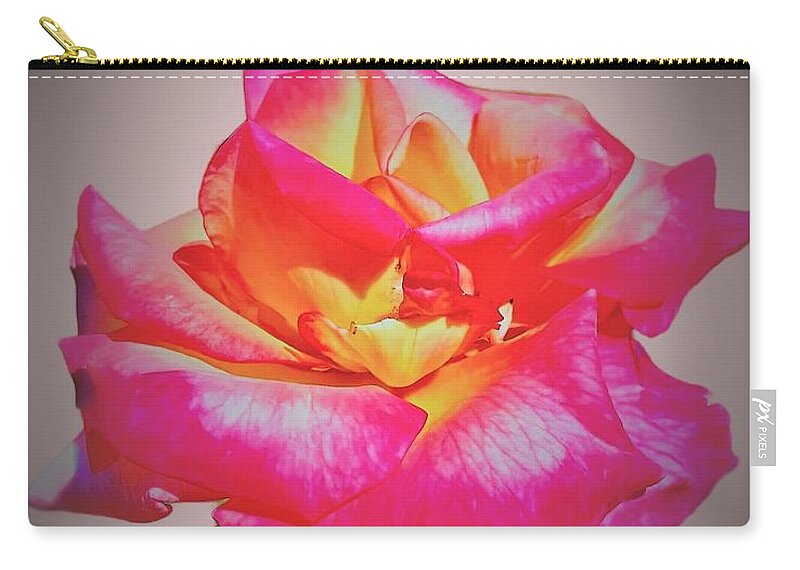 Rose Zip Pouch featuring the photograph A Single Rose by John Anderson