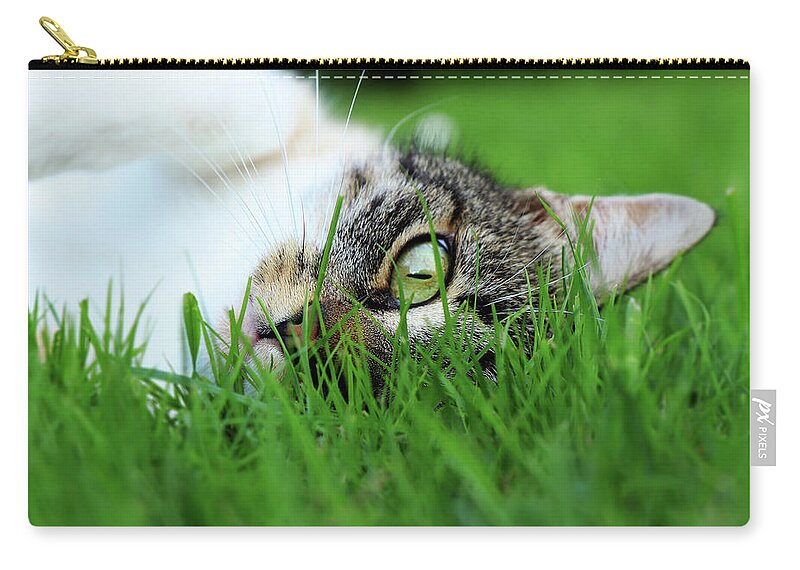 Domestic Cat Carry-all Pouch featuring the photograph Tabby kitten lying in grass by Vaclav Sonnek